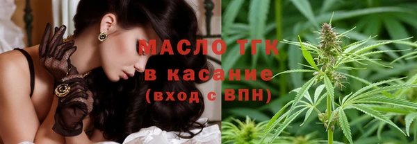 индика Армянск