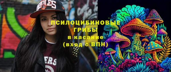 мет Аркадак